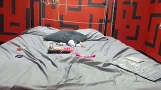 Lolitabigboobs Live Sex Cam